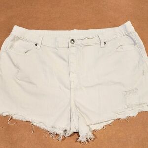 Aerie Distressed Denim Shorts XL